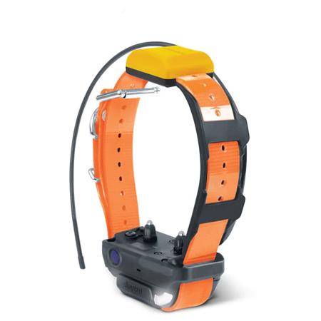 Dodatkowa Obroża Dogtra Pathfinder 2