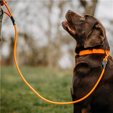DOG LEASH EUROHUNT