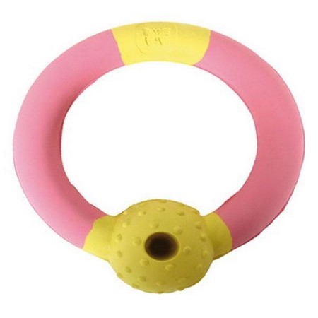 Dog Ring Toy