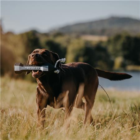 DUMMY DE TREINO EUROHUNT BALANCE BUMBER HP&G