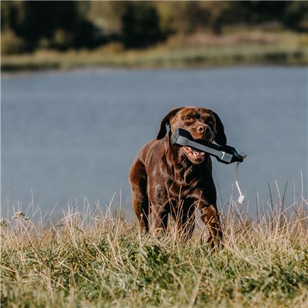 DUMMY DE TREINO EUROHUNT BALANCE BUMBER HP&G