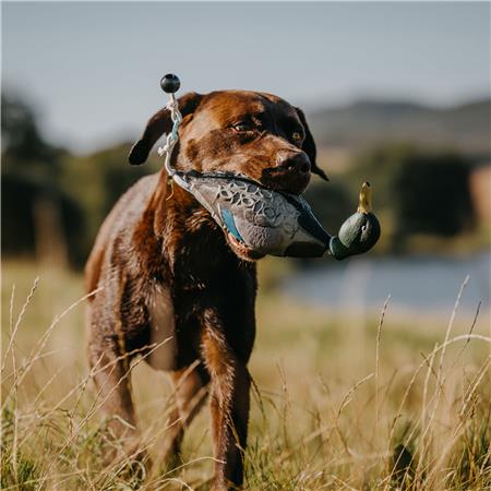 DUMMY EUROHUNT COLVERT HP&G