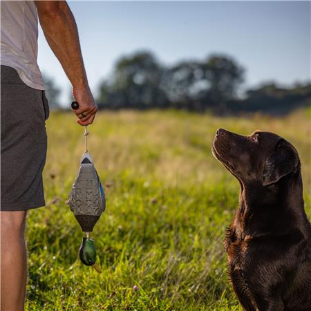 DUMMY EUROHUNT COLVERT HP&G