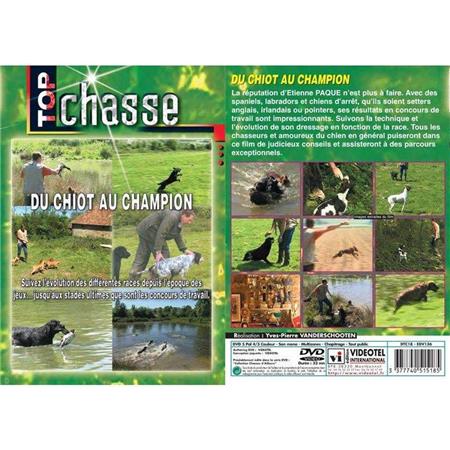 Dvd - Du Chiot Au Champion  - Chiens De Chasse - Top Chasse