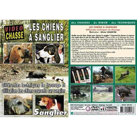 Dvd - Les Chiens A Sanglier  - Chasse Du Grand Gibier - Vidéo Chasse