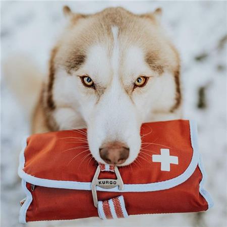 EERSTEHULPSET KURGO - PAPRIKA