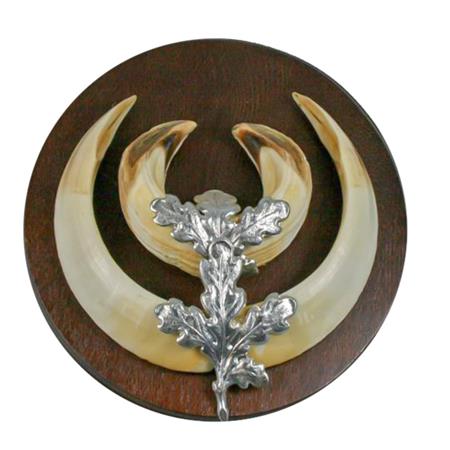 EICHENBLATT EUROHUNT POUR DEFENSES DE SANGLIER - SILBER