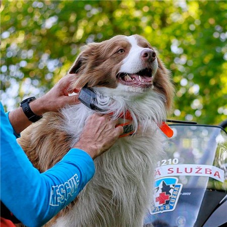 ΕΚΠΑΙΔΕΥΤΙΚΌ ΚΟΛΆΡΟ DOG TRACE GPS X30