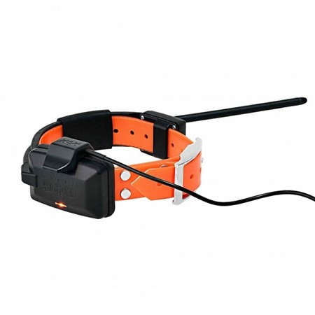 ΕΚΠΑΙΔΕΥΤΙΚΌ ΚΟΛΆΡΟ DOG TRACE SHORT GPS X30-T