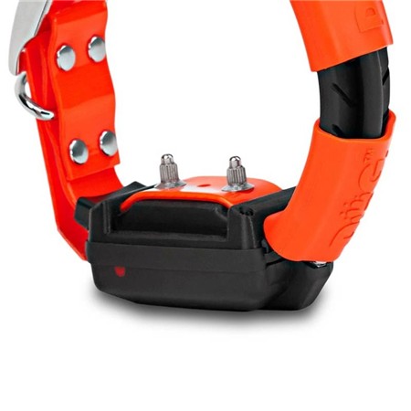 ΕΚΠΑΙΔΕΥΤΙΚΌ ΚΟΛΆΡΟ DOG TRACE SHORT GPS X30-T