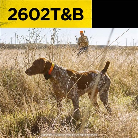 ΕΚΠΑΙΔΕΥΤΙΚΌ ΚΟΛΆΡΟ DOGTRA 2602T&B