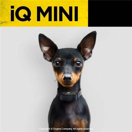ΕΚΠΑΙΔΕΥΤΙΚΌ ΚΟΛΆΡΟ DOGTRA IQ MINI