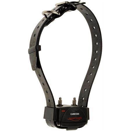 Elektrode Voor Trainings Halsband Numaxes