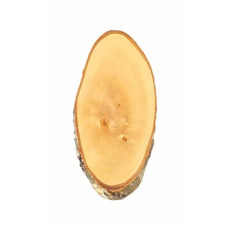 Emblema De Veado Eurohunt Bouleau