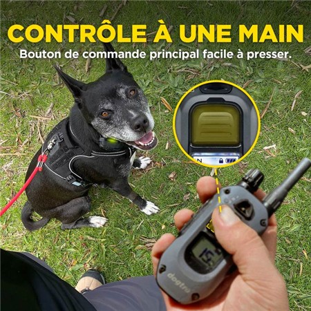 ÉMETTEUR SUPPLÉMENTAIRE DOGTRA POUR COLLIER DE DRESSAGE 640X
