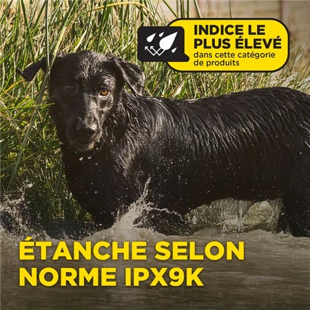 ERZIEHUNGSHALSBAND DOGTRA 1200X KIT 2 CHIENS