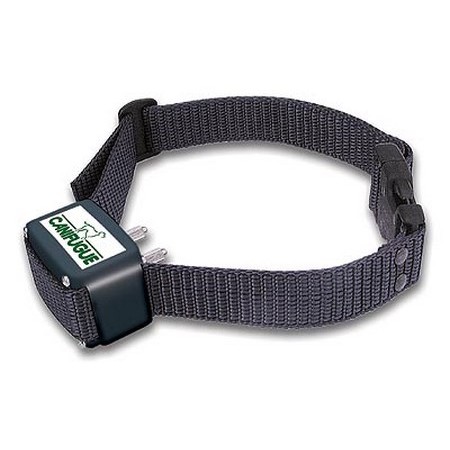 Extra Halsband Voor Omheining Tegen Weglopen Numaxes Canifugue