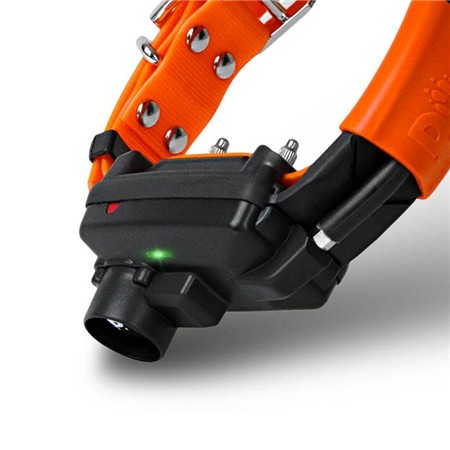 EXTRA TRAININGSHALSBAND DOG TRACE X30 + BEEPER