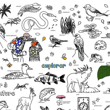 FARVELÆGNING BINGO COLLECTION XXL NATURE