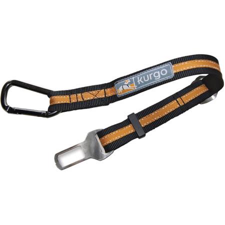 Fastener Of Security Kurgo