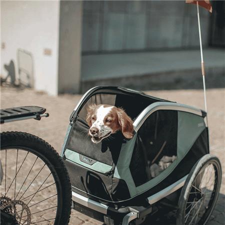 FIETSKAR THULE VOOR HONDEN BEXEY