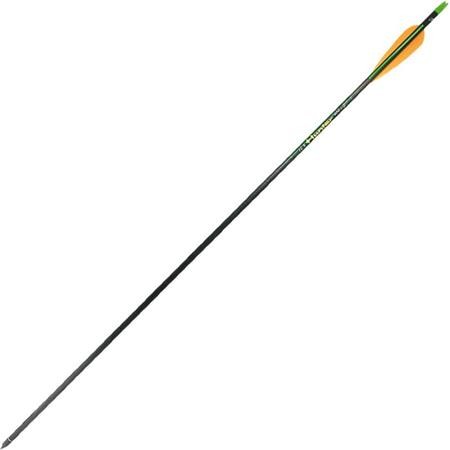 Fleche Europ Arm Beman Ics Hunter 400 Carbone