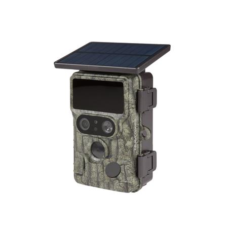 Fotopułapka Numaxes Pie1073