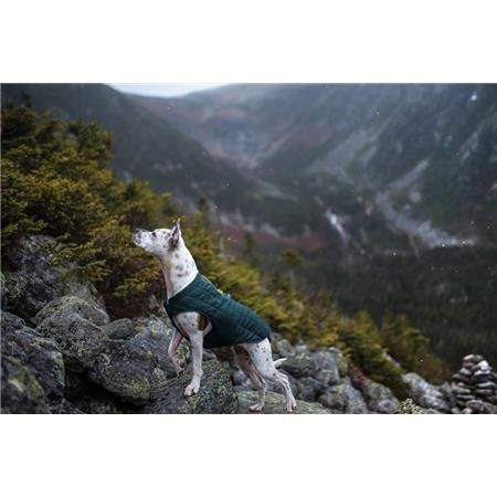 GILET CANE KURGO LOFT