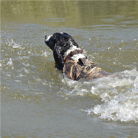 GILET DE FLOTTAISON CANIHUNT POUR CHIEN NEOPRO V3