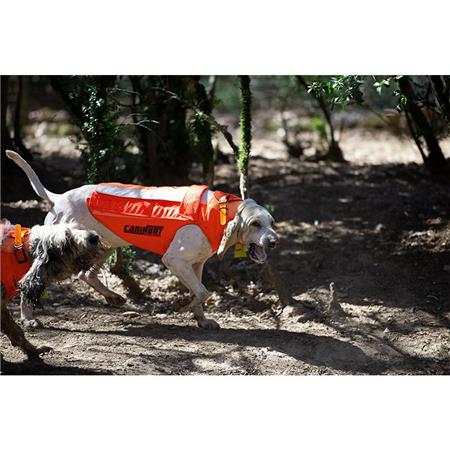 GILET DI PROTEZIONE CANE CANIHUNT PROTECT PRO