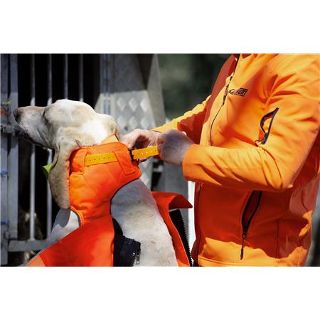GILET DI PROTEZIONE CANE CANIHUNT PROTECT PRO