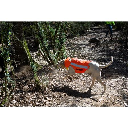 GILET DI PROTEZIONE CANE CANIHUNT PROTECT PRO