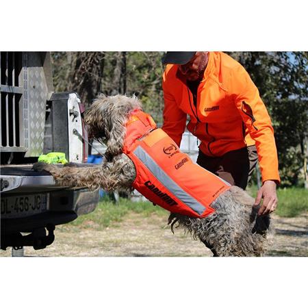 GILET PROTETTIVO CANIHUNT PROTECT PRO L'ORIGINALE