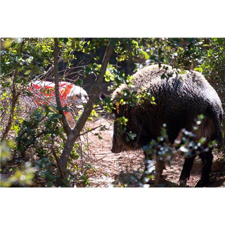 GILET PROTETTIVO CANIHUNT PROTECT PRO L'ORIGINALE