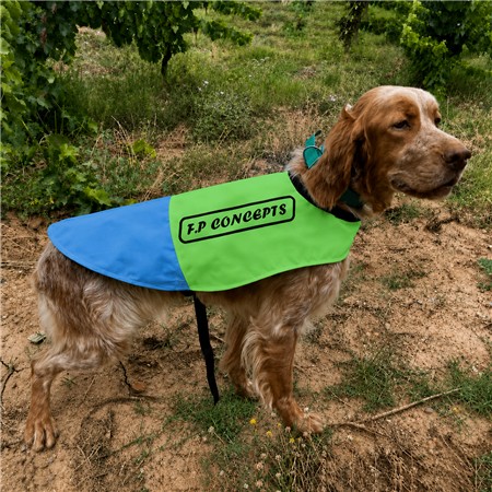 GILET VISIBILITÉ POUR CHIEN F.P CONCEPTS - BLEU/VERT