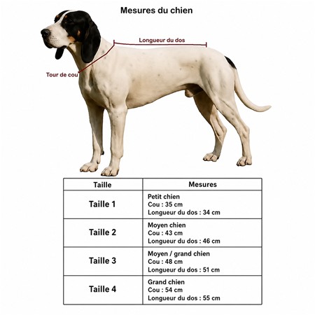GILET VISIBILITÉ POUR CHIEN F.P CONCEPTS - ORANGE