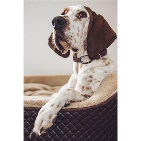 GPS DLA PSA KIPPY EVO