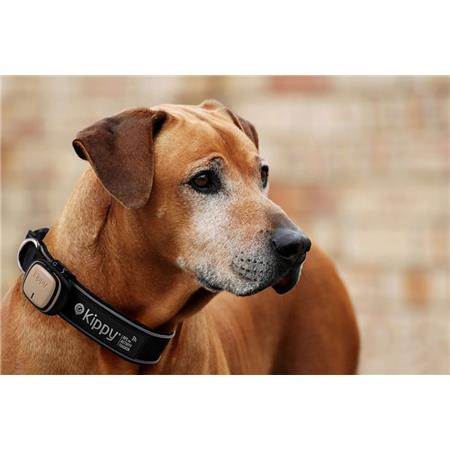 GPS TIL HUND KIPPY EVO