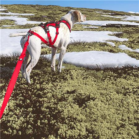 GUINZAGLIO DA TRAINO I-DOG COMFORT TREK