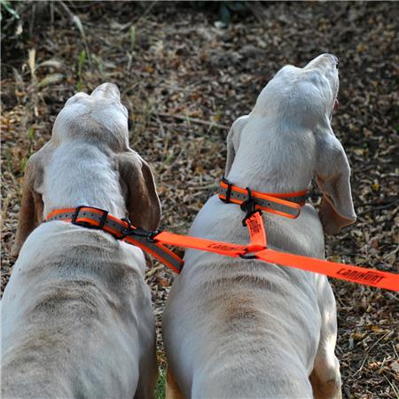 GUINZAGLIO DOPPIO CANE CANIHUNT HUNTER FIRST