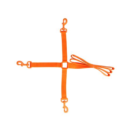 Guinzaglio Per Cane Eurohunt Allenamento 3 In 1 Con Moschettoni