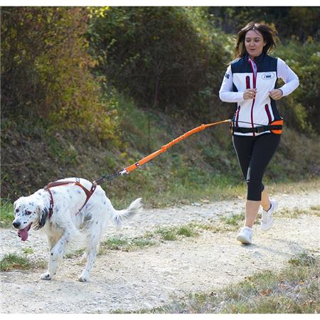 GURTZEUG I-DOG ONE ENFANT