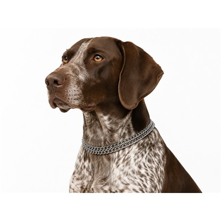 HALBZUG-HALSBAND FÜR HUND