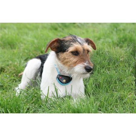 HALSBAND GEGEN BELLEN NUMAXES CANICALM SPRAY