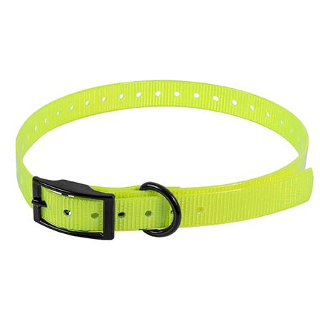 Halsband Hond Hb Dog