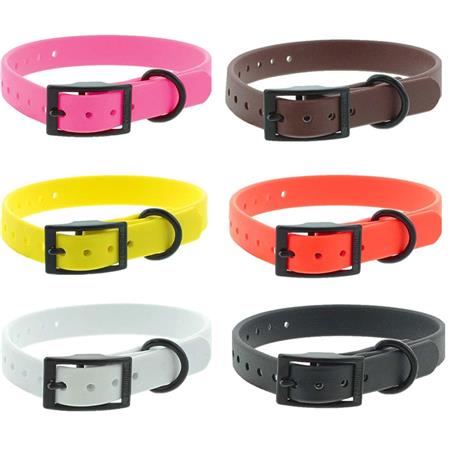 HALSBAND HUND CANIHUNT PVC CTECH