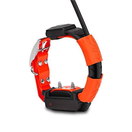 HALSBAND VOOR LOKALISATIE EN TRAINING DOG TRACE GPS X25-T SHORT TÉLÉCOMMANDE + COLLIER + CHARGEUR + EDUCATIF