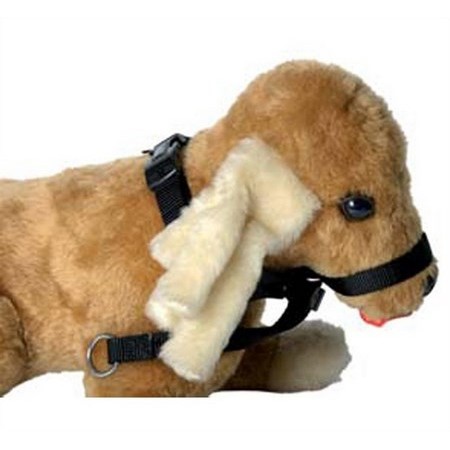 Halster Licol Hond