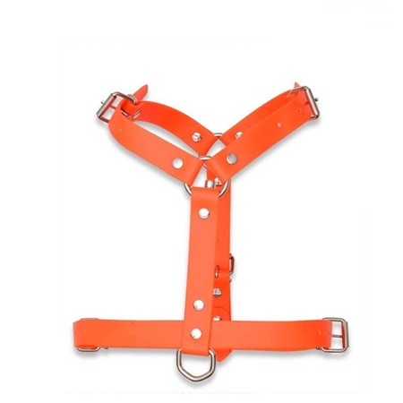 Harnais Ajustable Polytec 25Mm