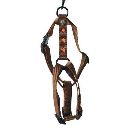HARNAIS BAUDRIER CHIEN NYLON MARTIN SELLIER PAPILLONS ORANGE
